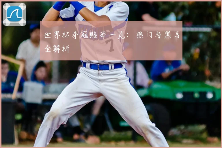 世界杯夺冠赔率一览:热门与黑马全解析