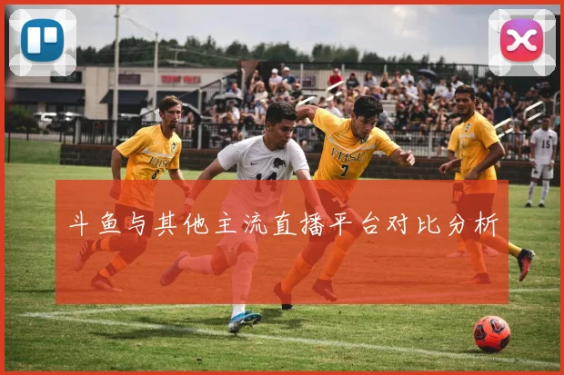 斗鱼与其他主流直播平台对比分析